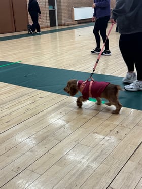 Perfect - really affordable & great quality!