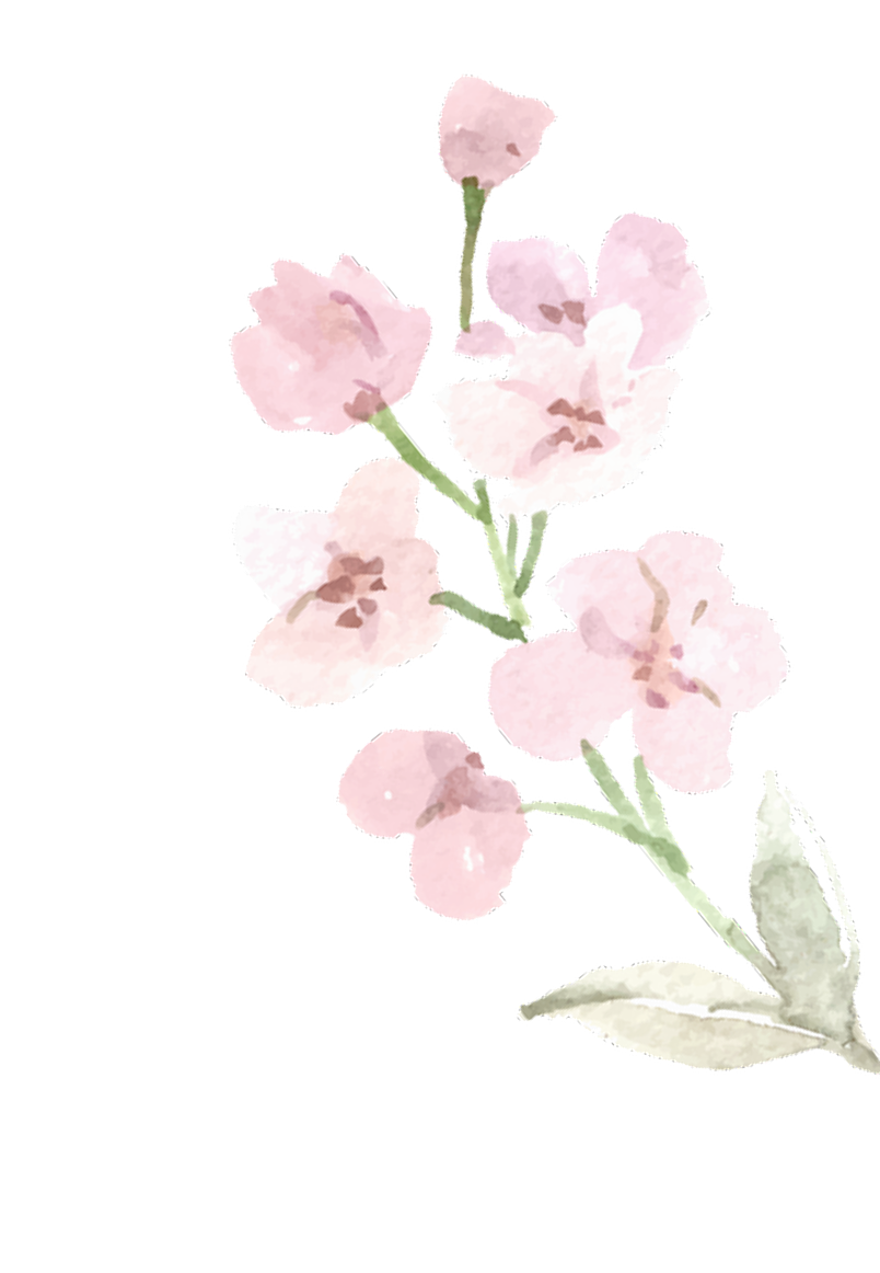 Mothers Day Sale Decoration Image 2 - Mothers Day Sale