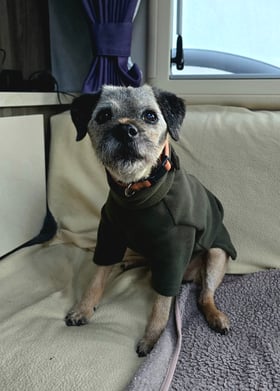 Great fit, ease of use, and customer service.