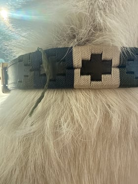 Smart collar