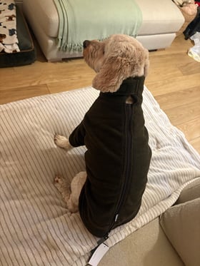 Fleece dog jumper S/M