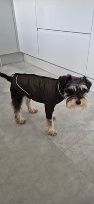 Excellent Dog Coat