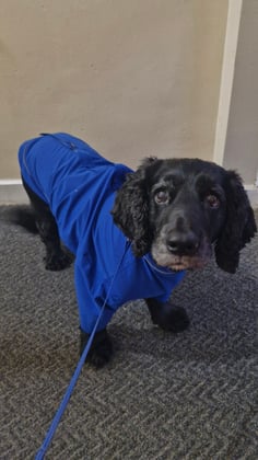 Large coat and Fleece