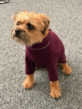 Perfect fleece