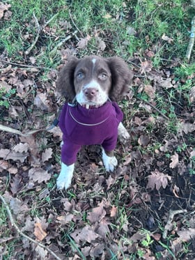 Love it nice and warm and cosy