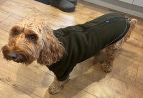 Fabulous fit  dog fleece coat