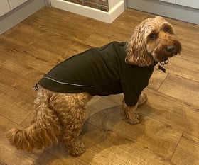Fabulous fit  dog fleece coat