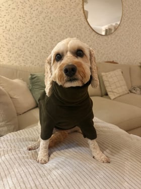 Fleece dog jumper S/M