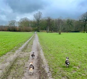 Excellent! Sadly always sold out in Olive colour!