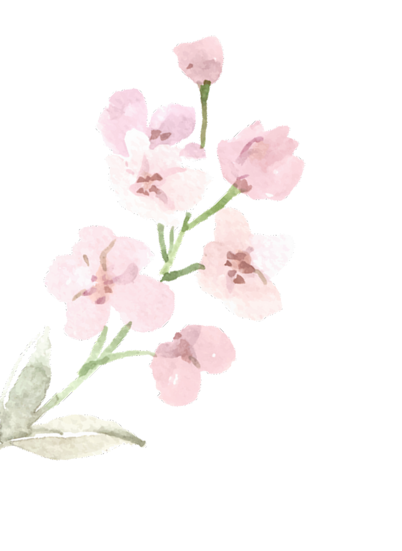 Mothers Day Sale Decoration Image 1 - Mothers Day Sale