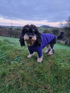 Great design & quality